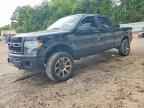 2013 FORD F-150 Lightning