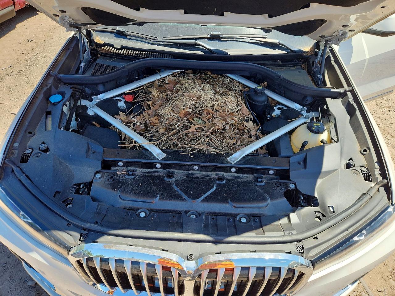 2019 BMW X7