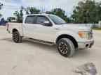 2010 FORD F-150 Lightning
