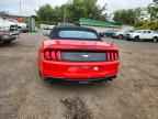 2023 FORD MUSTANG