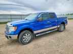 2010 FORD F-150 Lightning