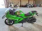 2024 Segen Dragon