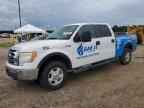2010 FORD F-150 Lightning