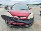 2009 HONDA CR-V