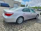 2007 LEXUS LS 460