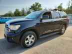 2008 TOYOTA Sequoia