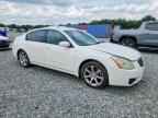 2008 NISSAN Maxima