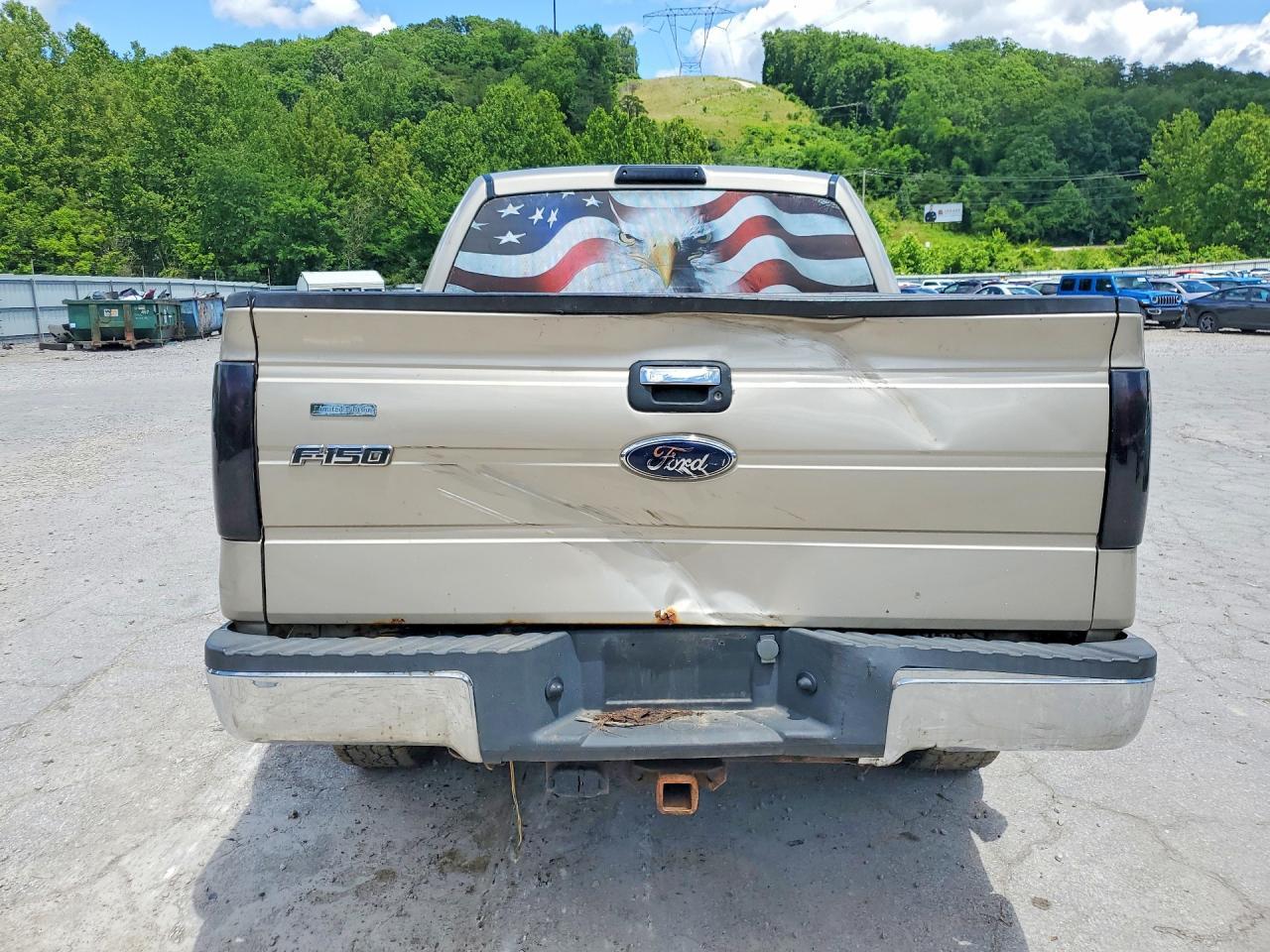 2010 FORD F-150 Lightning