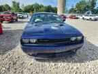 2013 DODGE Challenger