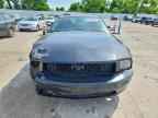 2008 FORD MUSTANG