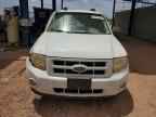 2009 FORD Escape Hybrid