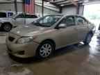 2009 TOYOTA COROLLA