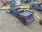 2024 SKIDOO Skandic Le 900 Ace