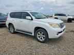 2010 LEXUS GX 460