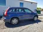 2007 HONDA CR-V