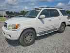 2003 TOYOTA Sequoia