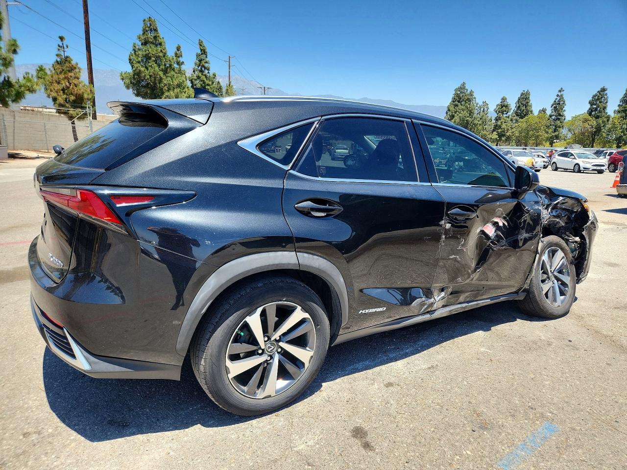 2020 LEXUS NX 300H