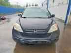 2008 HONDA CR-V
