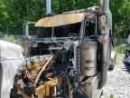 2014 PETERBILT 389