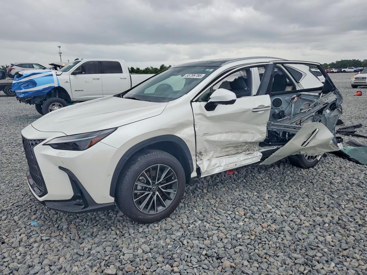 2024 LEXUS NX 350H