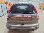 2010 HONDA CR-V