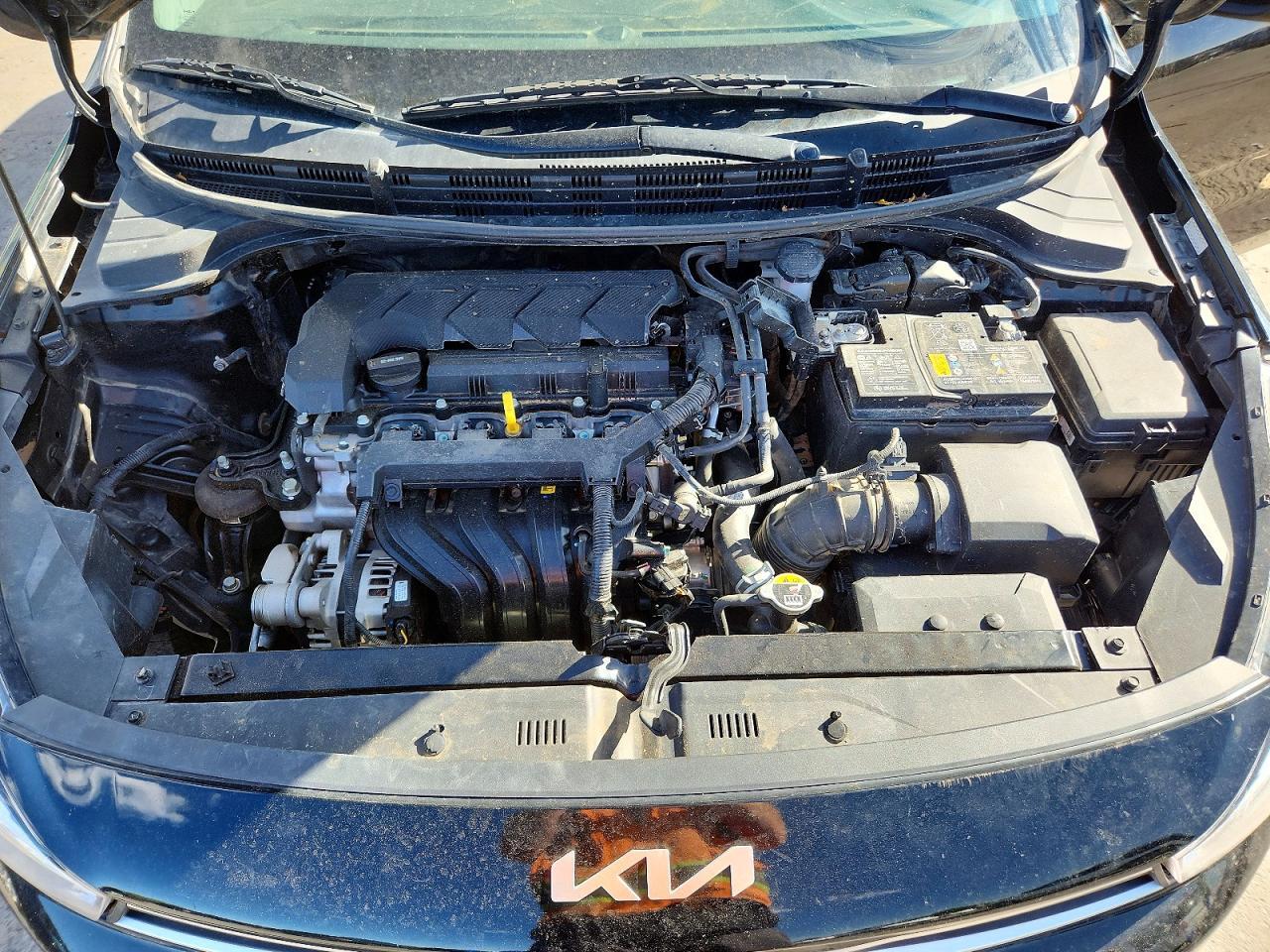 2023 KIA RIO