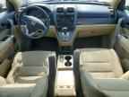 2007 HONDA CR-V