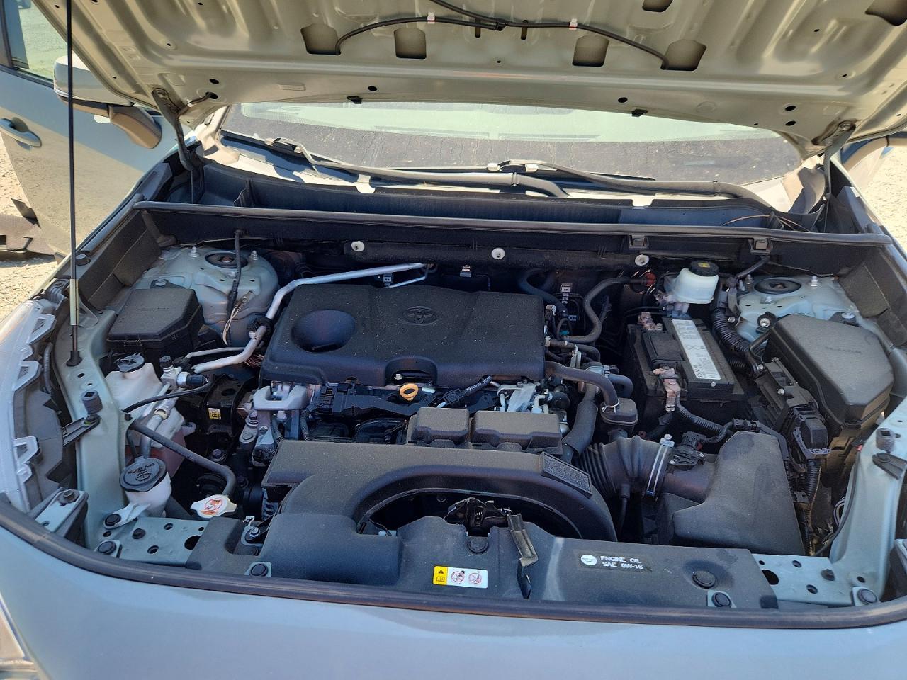 2019 TOYOTA RAV4