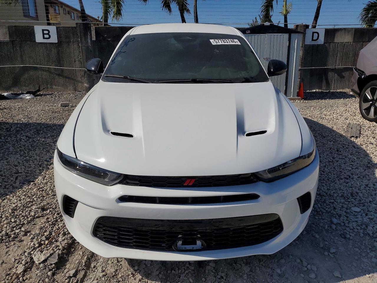 2023 DODGE Hornet