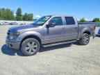 2014 FORD F-150 Lightning