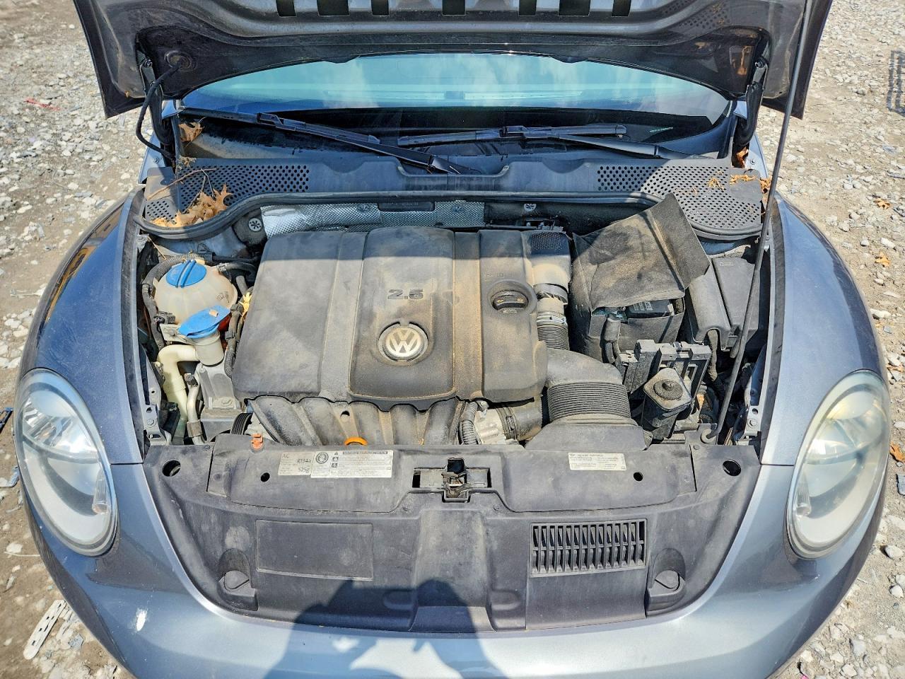 2013 VOLKSWAGEN Beetle