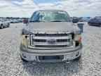 2013 FORD F-150 Lightning