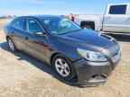 2014 CHEVROLET MALIBU