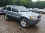 2006 FORD ESCAPE