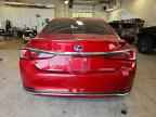 2019 LEXUS ES 300H