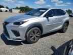 2019 LEXUS NX 300