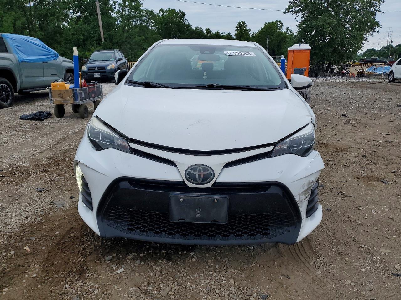 2019 TOYOTA COROLLA