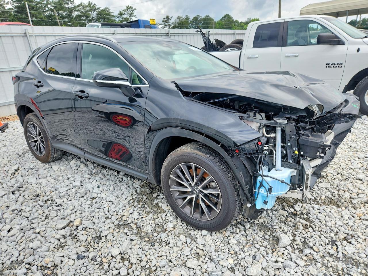2024 LEXUS NX 350