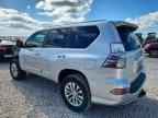 2018 LEXUS GX 460