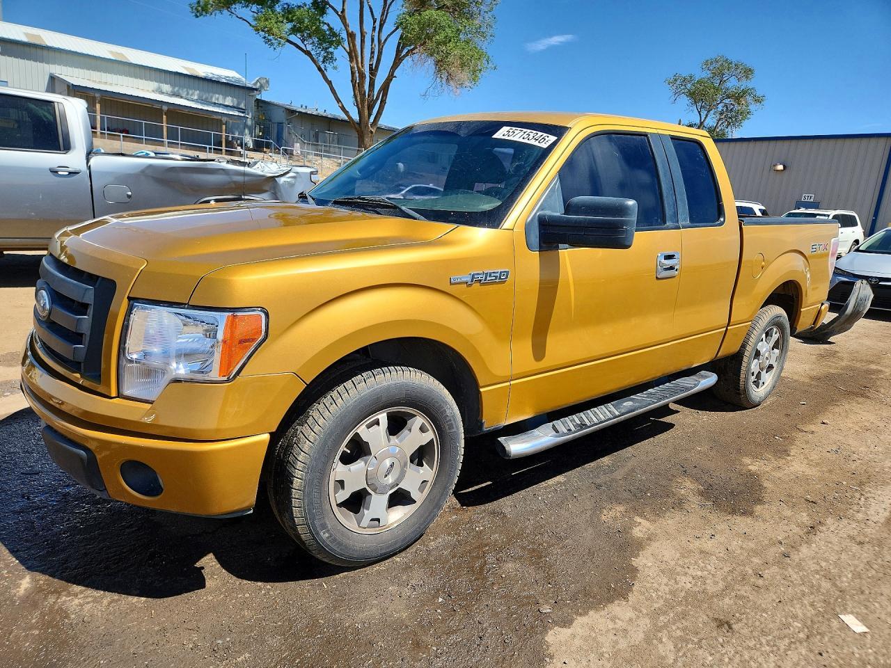 2009 FORD F-150
