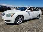 2005 NISSAN Maxima