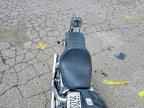 2003 HARLEY-DAVIDSON FXD