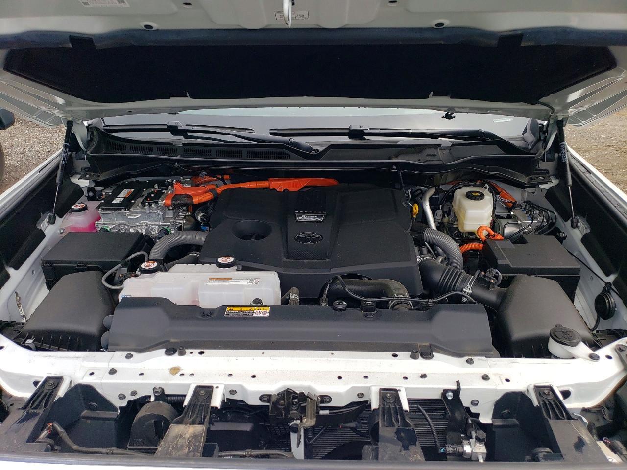 2026 TOYOTA Sequoia