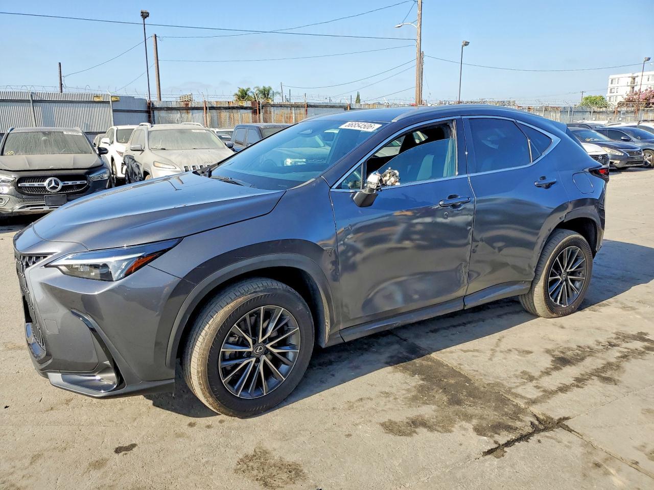 2024 LEXUS NX 250