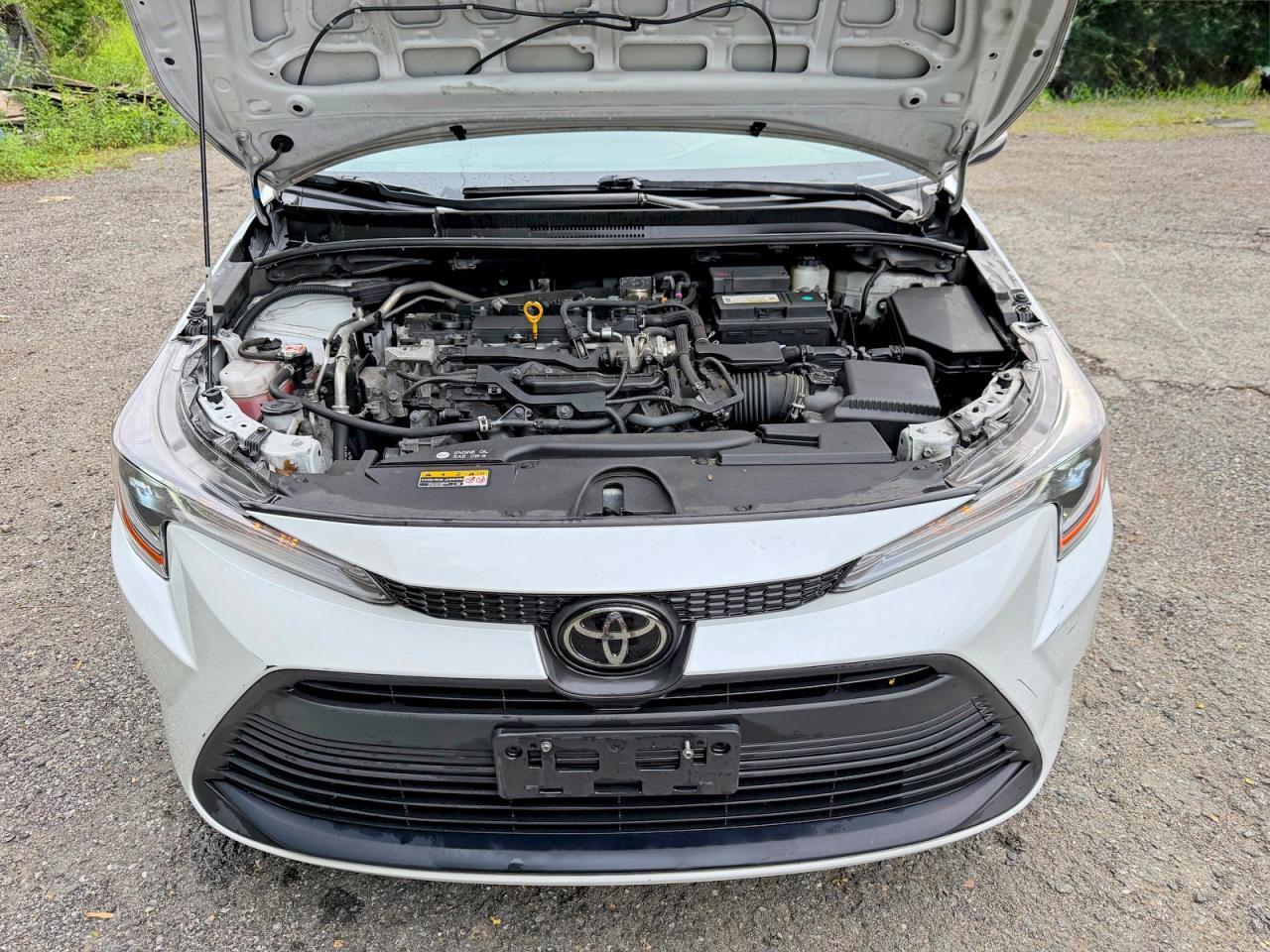 2024 TOYOTA COROLLA