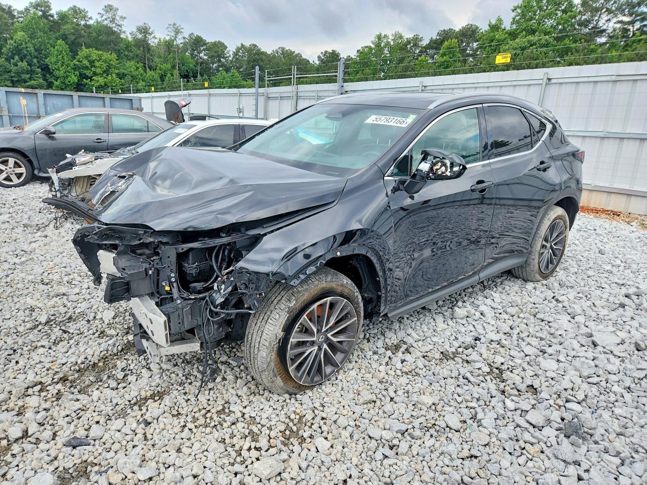 2024 LEXUS NX 350