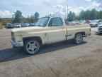 1981 CHEVROLET C10