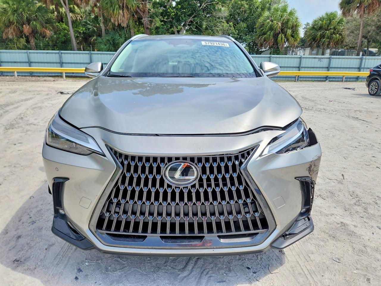 2025 LEXUS NX 350