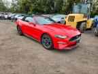 2023 FORD MUSTANG