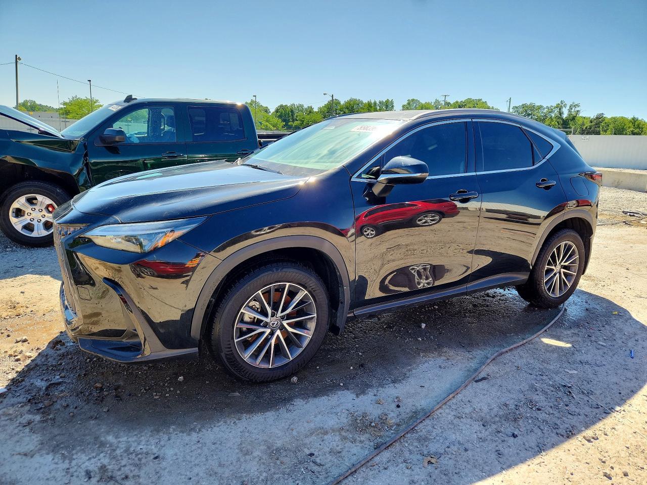 2024 LEXUS NX 350